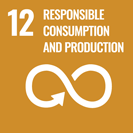 sustainability objective 12 responsible consumption and production
