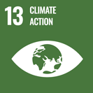 sustainability goal 13 climate action